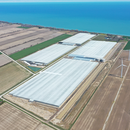 Hacienda Greenhouse Completion Aerial Photo, Largest Greenhouse Build Project in North America