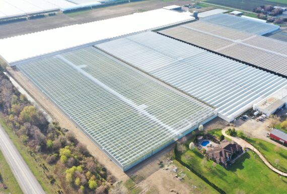 Completion of H&A Farms 11-acre tomato greenhouse