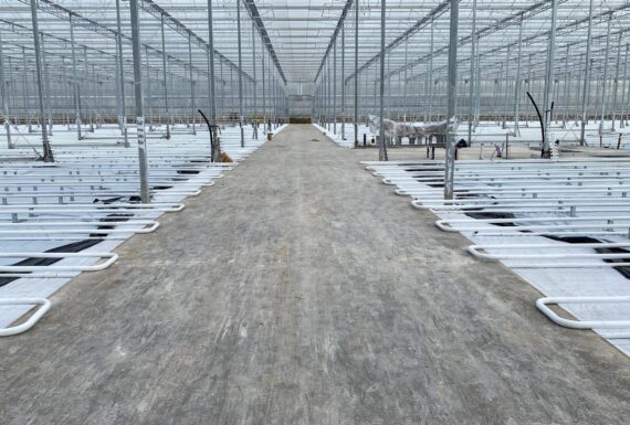 Greenhouse walkway inside H&A Farms new 11-acre greenhouse