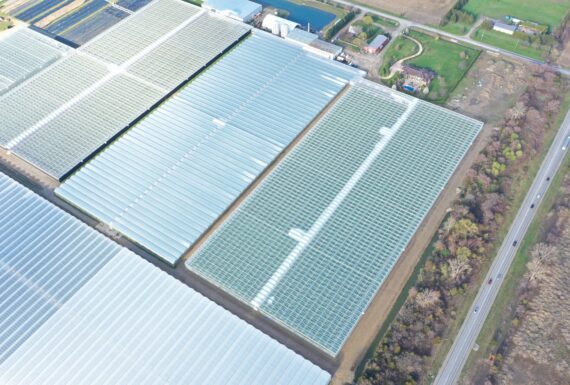 Completion of H&A Farms 11-acre tomato greenhouse