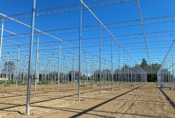 Greenhouse posts being installed at H&A Farms 11-acre tomato greenhouse