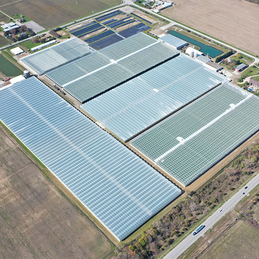 H&A Farms aerial photo completed greenhouse expansion