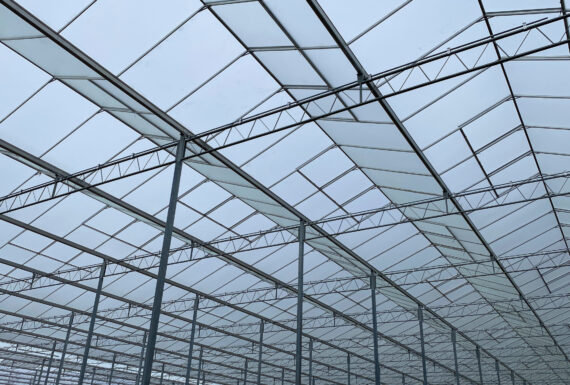 Ketler Farms greenhouse peaks