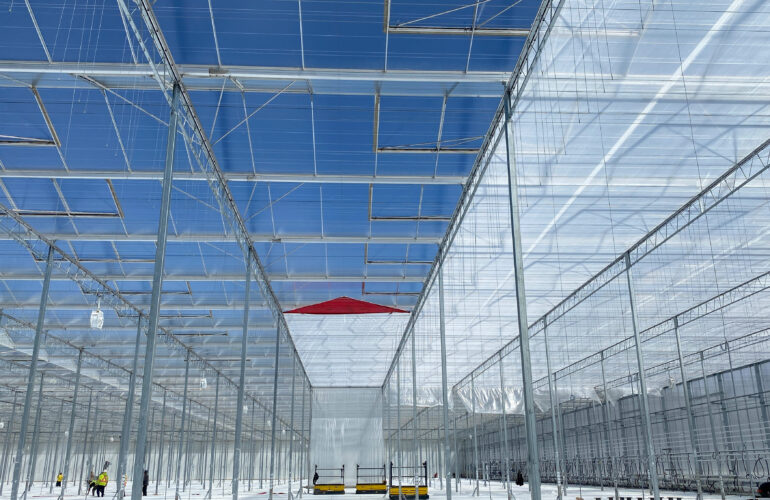 Screen retrofitting project in an existing greenhouse structure